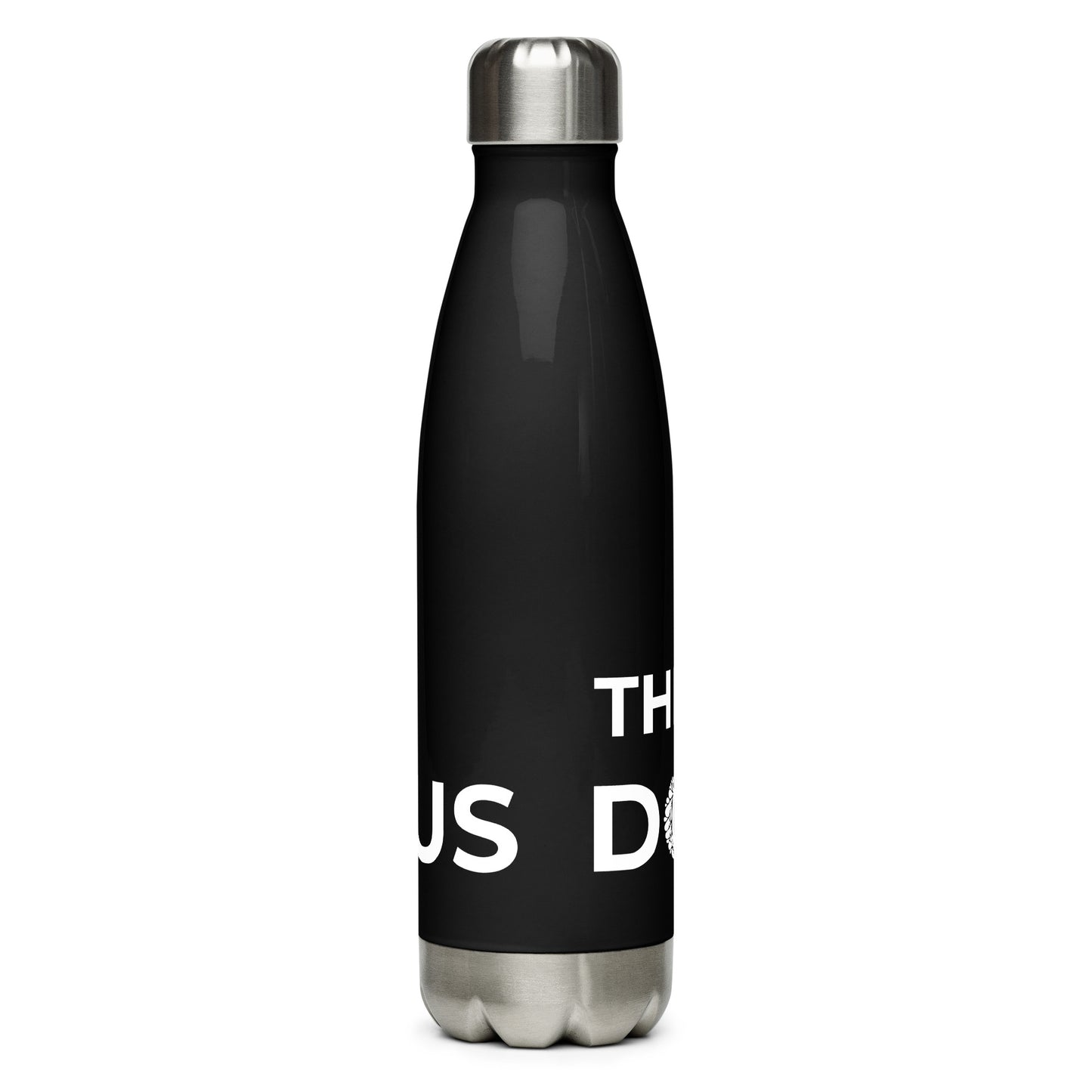 Stainless steel water bottle