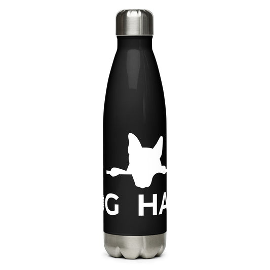 Stainless steel water bottle